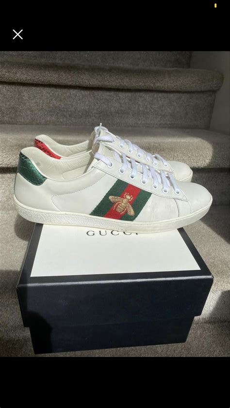 reddit gucci aces fashionreps|real Gucci ace shoes.